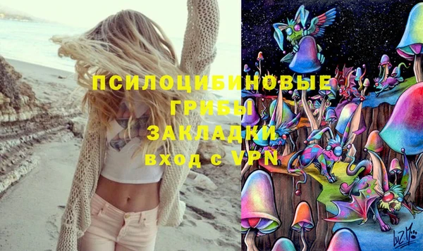 винт Наволоки