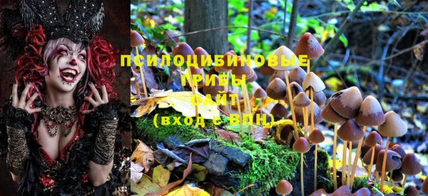 спиды Нея